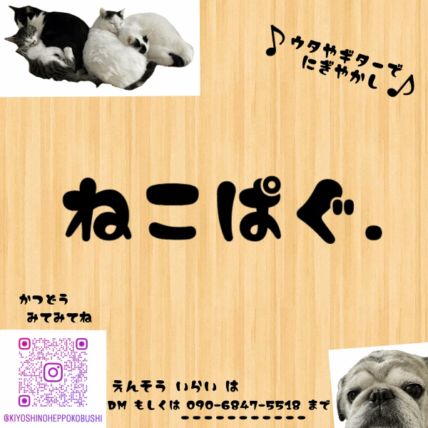 ねこぱぐ